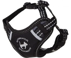All For Dogs VĖŽIAGYVIŲ ERDVĖS MOKYKLA