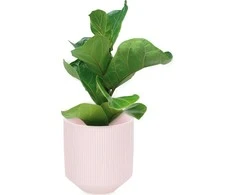 AmeliaHome FLOWERERPOT/AH/PASO/POWDERPINK/9X9,8