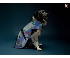 Ami Play Amiplay JACKET FOR DOGS PETROL Pilkas 45