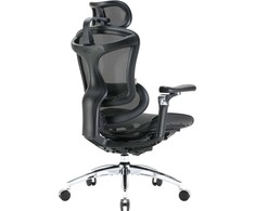 Biuro kėdė Sihoo DORO C300 Pro Mesh, Juoda