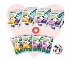 ANIMAL ISLAND Love Box Fileciki w galarecie mix smaków 48szt + zabawka