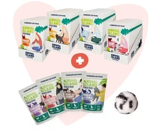 ANIMAL ISLAND Love Box Rosół mix smaków 48szt + zabawka
