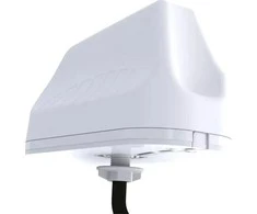 EntenA Poynting Automobilio antenA 2in1 Poynting MIMO- 3-12 LTE