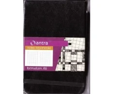 Antra Reporting Notes A6 Tinklelis Juodas formalizmas