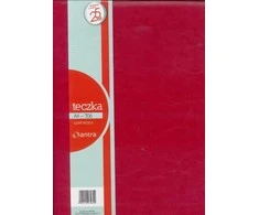 Antra Failas A4 706 raudona (233367)