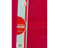 Antra Failas A4 718 raudona (233486)