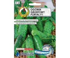 Cucumber Ground Portal PNOS Seeds on Tape, 6m Roll