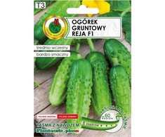 Ground Cucumber Reja F1 PNOS Seeds on Tape, 6m Tape