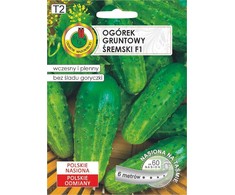 Pnos Sremski F1 Ground Cucumber Seeds on Tape, 6m Roll