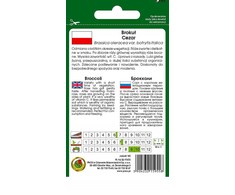 Caesar Broccoli PNOS Vegetable Seeds, 2g Pack
