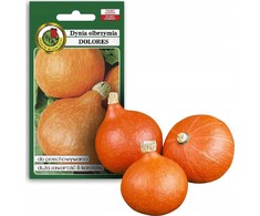 Giant Pumpkin Dolores PNOS Vegetable Seeds, 5g Packaging