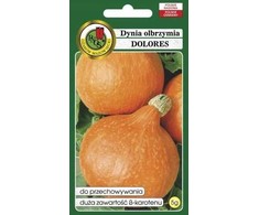 Giant Pumpkin Dolores PNOS Vegetable Seeds, 5g Packaging