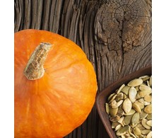 Giant Pumpkin Dolores PNOS daržovių sėklos, 5g pakuotė