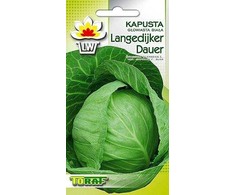 Langedi Cabbage PNOS Vegetable Seeds, 2g Package