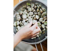 Jankiel Baltas Bean PNOS Vegetable Seeds, 50g Package
