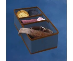 ORDINETT Box with sections M 30,5x15,5x10cm Mėlyna