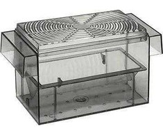ebi Guppytank (3 In 1) Ablaichkasten 16 x 8 x 8cm