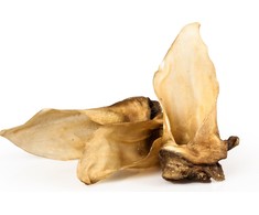 Arami ARAMI. ausis stirnos (10vnt.)