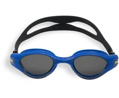 Arena Akiniai THE ONE PLUS polarized (011044/110)