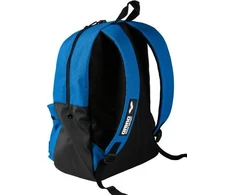 Arena Sportinė kuprinė Team Backpack 30l mėlyna