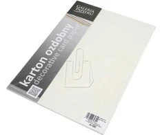 Galeria Papieru Dekoratyvinis popierius FLORYDA A4 kreminis 220g 20l