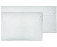 Galeria Papieru Vokai DL PEARL 120g 10vnt sidabriniai