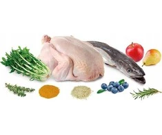 ARQUIVET Fresh Senior &amp; Light kalakutiena ir žuvis - pusiau drėgnas šunų maistas - 10 kg