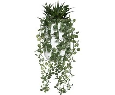 Art-Pol Dirbtinis augalas PEPEROMIA, kabantis