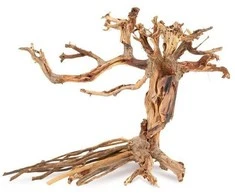 Art-Pol Skęstantis bonsai medelis Nr. 14 25x20