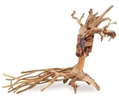 Art-Pol Skęstantis bonsai medelis Nr. 14 25x20