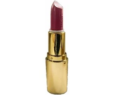 Lambre Exclusive Colour Lipstick 02 Dusky Berry, 4 g