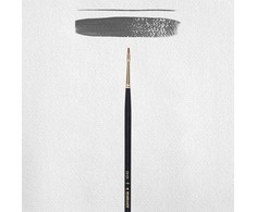 Artequipment Rembrandt Oil &amp; Acrylic Series 240 No. 00