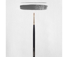 Artequipment Rembrandt Oil &amp; Acrylic Series 240 No. 1