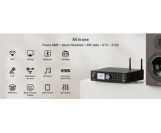 Arylic Arylic A100 – daugiafunkcis stereo stiprintuvas