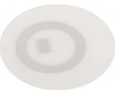 RFID žyma ATLO-604
