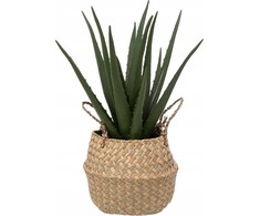 Atmosphera Aloe Dirbtinis alavijo augalas krepšelyje, 37 cm