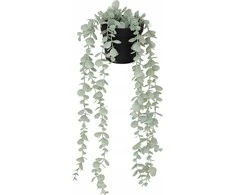 Atmosphera Dirbtinis eukaliptas MERLY, 51 cm