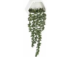 Bikuvalt Dekoratyvinis augalas svyrantis su vazonu 14x5x45 cm Atmosphera 155634