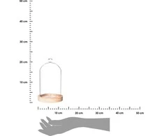 Bikuvalt Padėklas su stikliniu gaubtu D12xH19 cm Atmosphera 145133