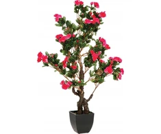 Atmosphera Rožinė Dirbtinis augalas AZALIA, rausvos spalvos, 81 cm