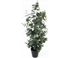 Dirbtinis eukaliptas „Atmosphera“ EDEN vazone, 78 cm