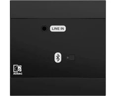 Audac AUDAC NWP300/B tinklo garso įvesties skydelis – BT + 3,5 mm lizdas (4 CH) Juoda versija