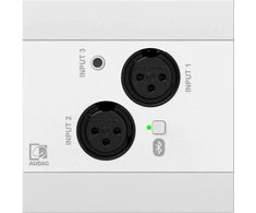 Audac AUDAC NWP320/W Tinklo garso įvesties skydelis - 2 x XLR + 3,5 mm lizdas + BT (4 CH) Balta versija