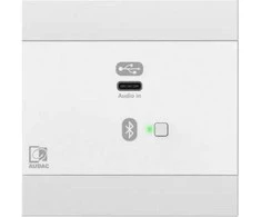 Audac AUDAC NWP400/W Tinklo garso įvesties skydelis – USB Type-C Baltas versija