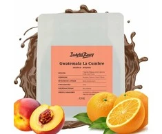 Instytut Kawy Audun Coffee Kavos pupelės Gvatemalos kavos institutas La Cumbre filtras 250g