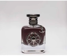 Aurora Scents Aurora Explorer Juodas EDP parfumuotas vanduo vyrams, 100 ml