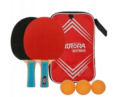 Aurora AURORA SG6225-2 stalo teniso komplektas **