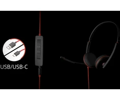 Ausinės Poly Blackwire C3210 (209748-22)