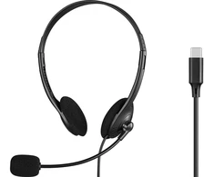 Ausinės Sandberg USB-C Ausinės Bulk (825-31)