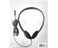 Ausinės Sandberg USB-C Headphone Bulk (825-32)